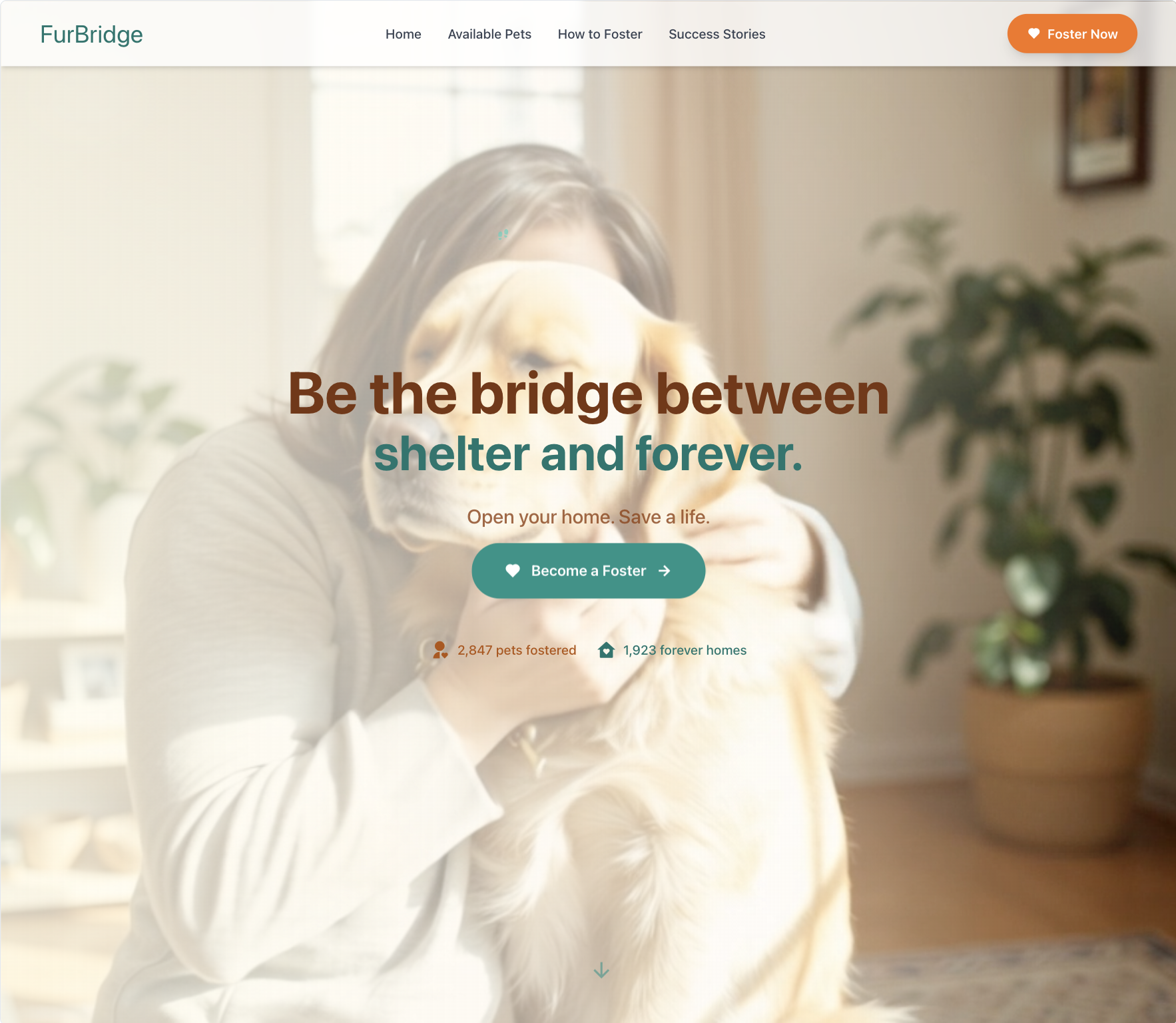 Animal Shelter Site